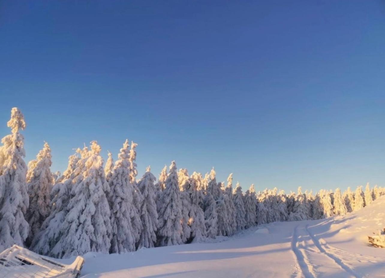 Ferienwohnung Tannhaeuser Braunlage Bagian luar foto